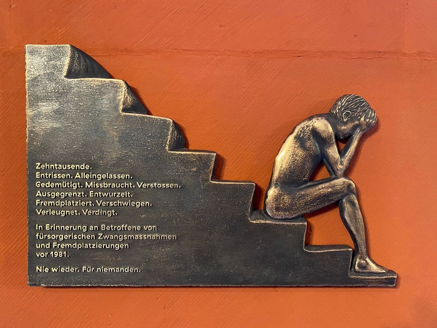 Bassorilievo in rame su sfondo arancione. Un bambino è seduto sul gradino più basso di una scala, con le mani appoggiate sulle ginocchia e la testa nascosta tra i palmi delle mani. L'iscrizione sulla targa commemorativa recita: Decine di migliaia, strappati, lasciati soli, umiliati, maltrattati, rifiutati, emarginati, sradicati, collocati altrove, nascosti, negati, venduti. In memoria di coloro che sono stati colpiti da misure assistenziali e collocamenti obbligatori prima del 1981. Mai più. Per nessuno.