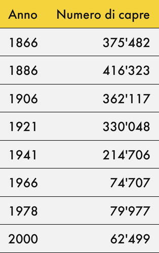 Tabella che mostra l'evoluzione del numero di capre nel Cantone dei Grigioni a partire dal 1866. I dati sono precisi alla cifra più vicina, ad esempio nel 1866: 375.482 capre o nel 1966 74.707 e nel 2003 67.412 capre.